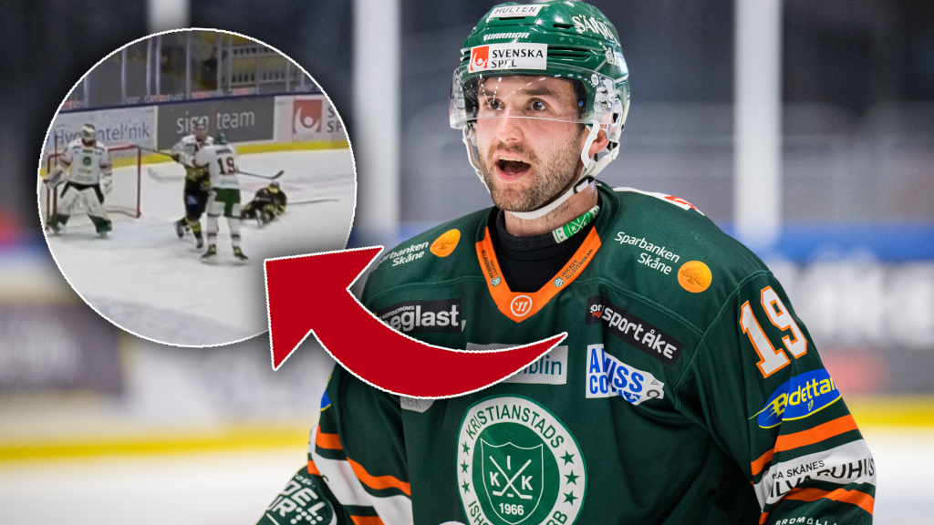 Domen: Amil Krupic st&auml;ngs av &ndash; f&ouml;r crosscheckingen