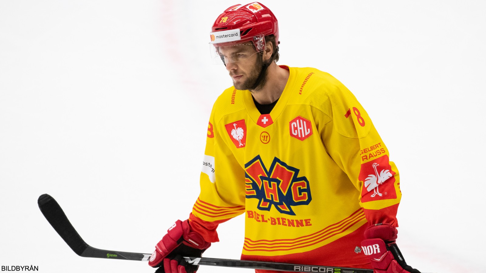 Marc-Antoine Pouliot skadade domaren &ndash; st&auml;ngs nu av