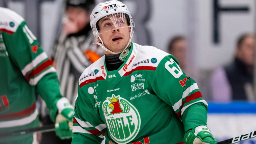 Leon Bristedt f&aring;r matchstraff &ndash; efter ful slashing