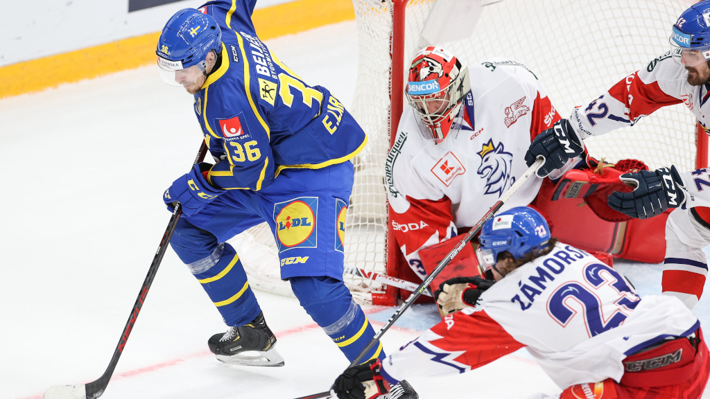 Beskedet: Ingen tr&auml;ningsmatch mot Tjeckien