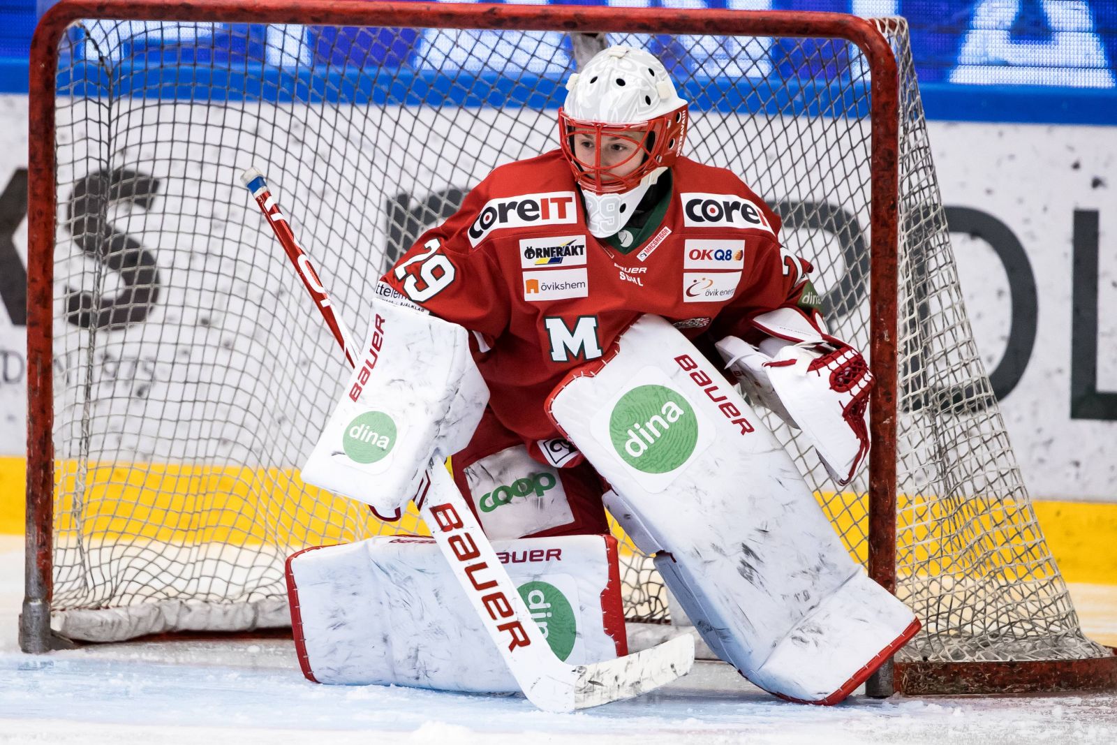 STOR GENOMG&Aring;NG: Sammanfattning och kommentarer p&aring; SDHL