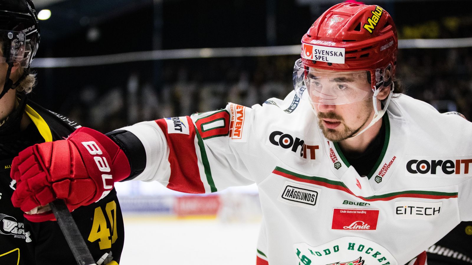David Bernhardt utses till &aring;rets back i Hockeyallsvenskan