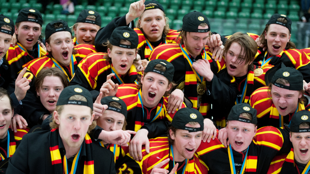 Sveriges b&auml;sta juniorlag: Bryn&auml;s J18 &ndash; kommentarer om alla spelare