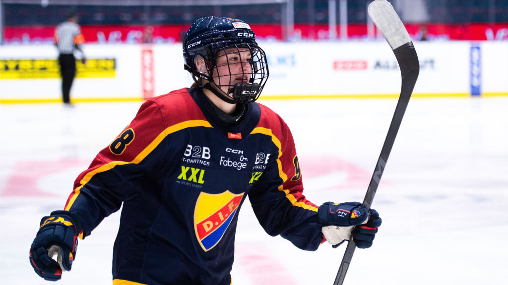 Fr&ouml;lunda v&auml;rvar fr&aring;n Djurg&aring;rden