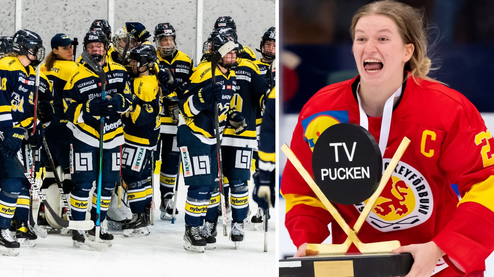HV71 f&ouml;rst&auml;rker &ndash; v&auml;rvar stortalangerna