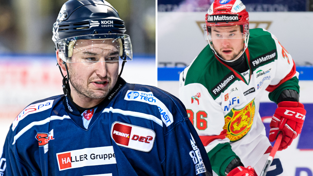 F&ouml;rre SHL-spelarens succ&eacute;: Vann po&auml;ngligan