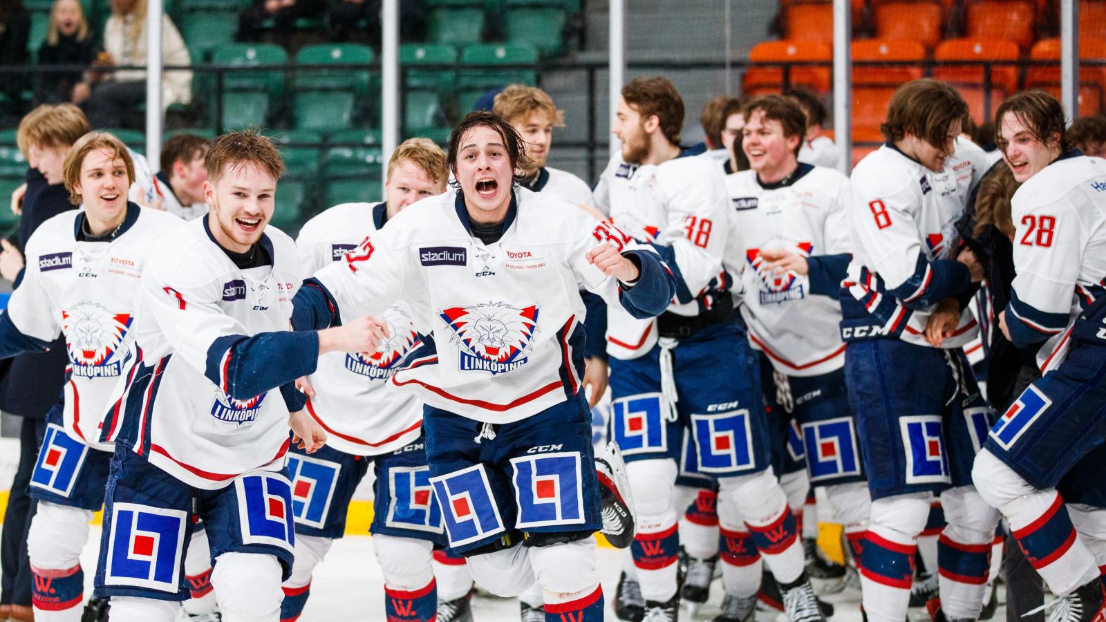Link&ouml;ping tog SM-guld &ndash; stoppade Djurg&aring;rdens trippel