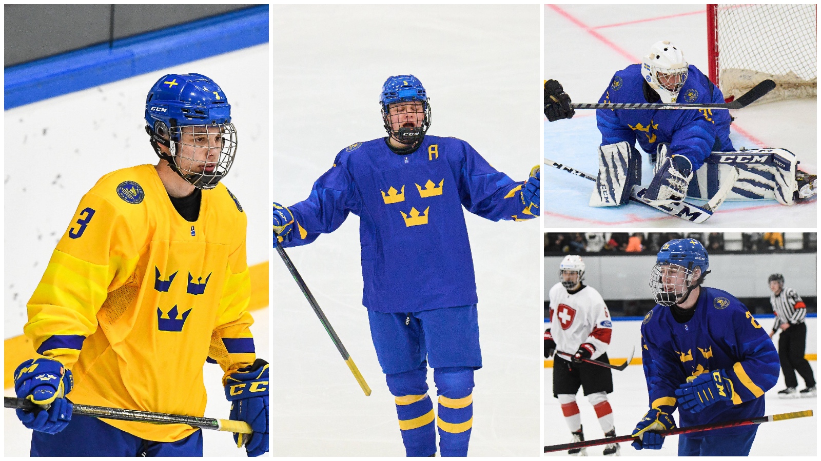 VM-hj&auml;ltarna kl&auml;ttrar p&aring; nya draftrankingen