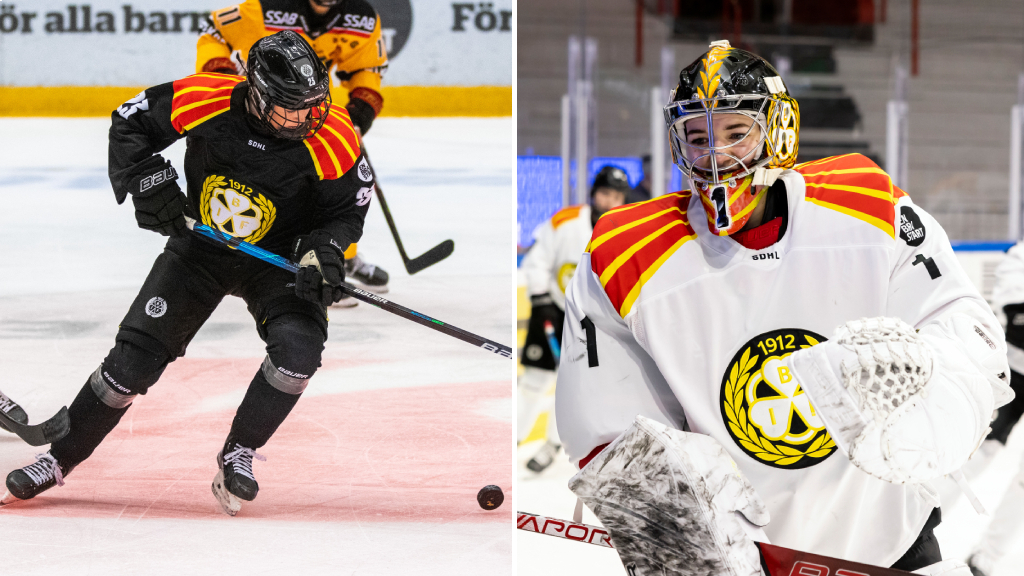 Klart: Duo l&auml;mnar Bryn&auml;s