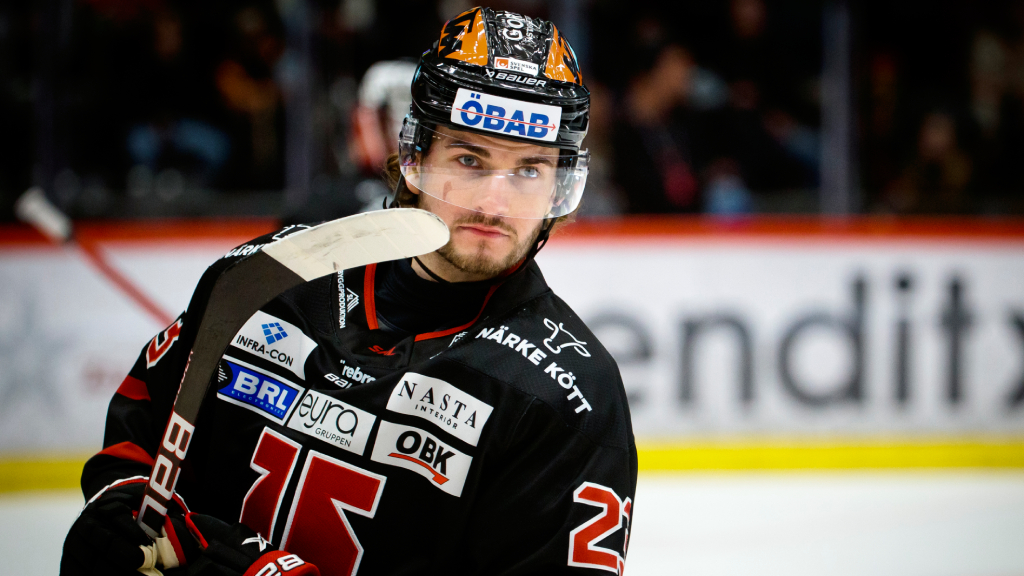 Petr Z&aacute;morsk&yacute; flyttar till HC Plzeň