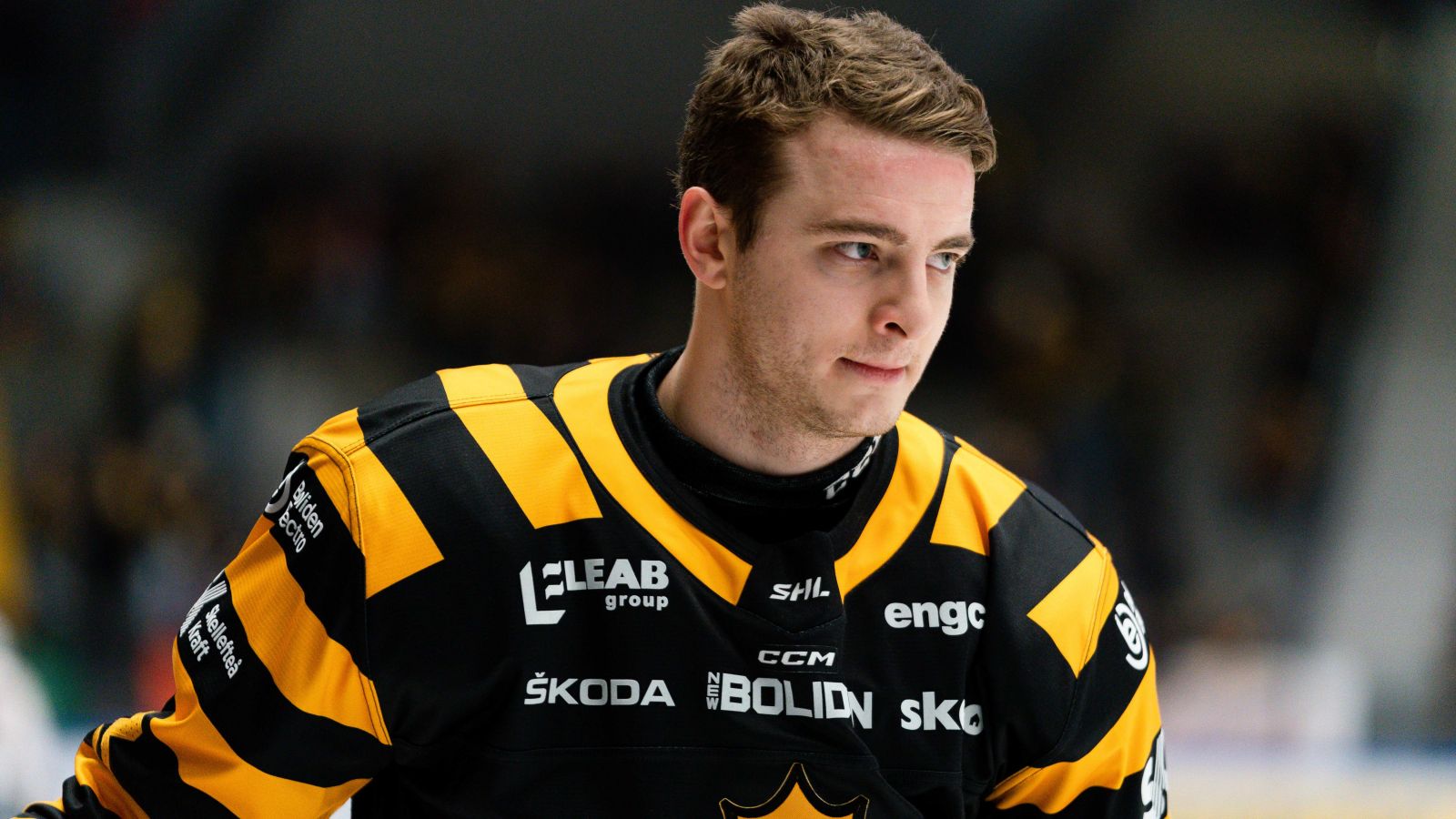 Stefan Loibl &aring;terv&auml;nder till Adler Mannheim