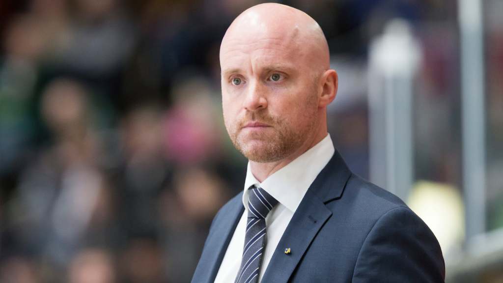 Tim Brith&eacute;n ny assisterande tr&auml;nare f&ouml;r Vita H&auml;sten