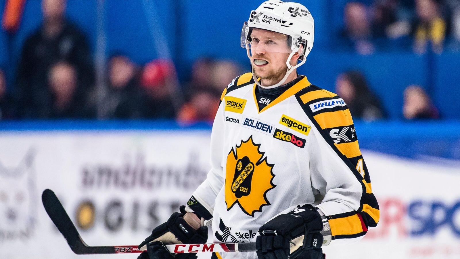 Tim Heed f&ouml;rhandlar med schweizisk klubb