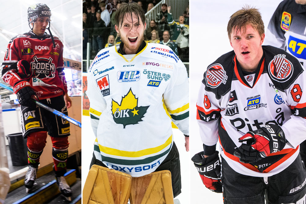 LAG F&Ouml;R LAG: Betyg p&aring; Hockeyettan Norra