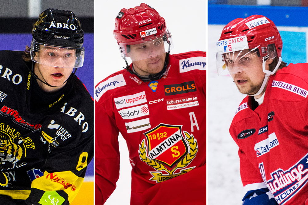 MJ&Ouml;RNBERG: Profilstarkt och ligans b&auml;sta backsida