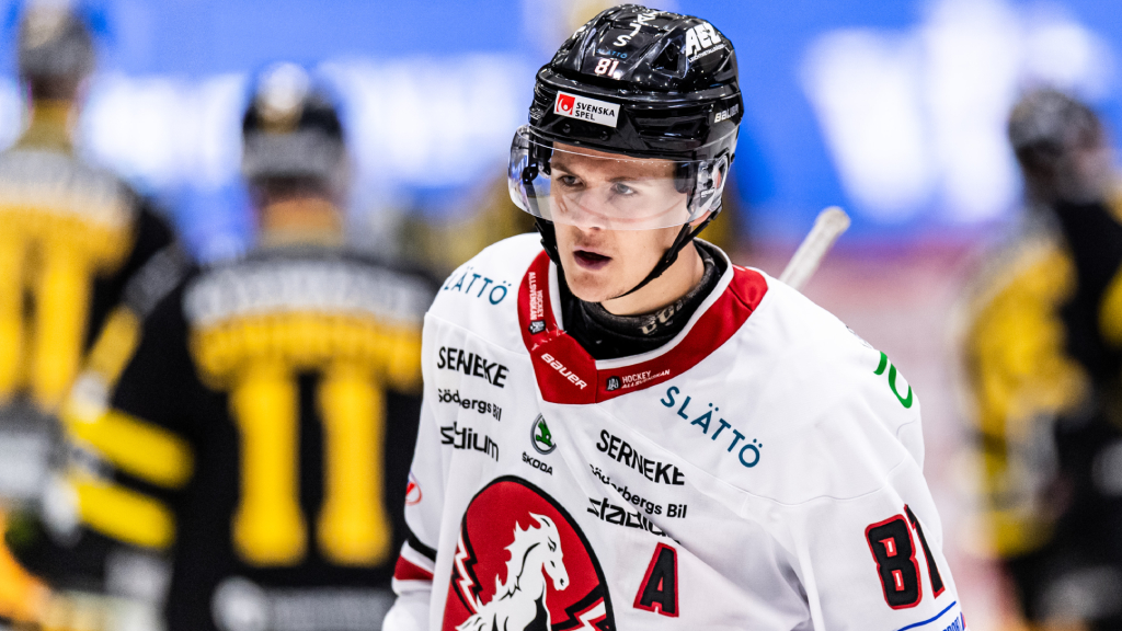 Erik Borg stannar i Vita H&auml;sten