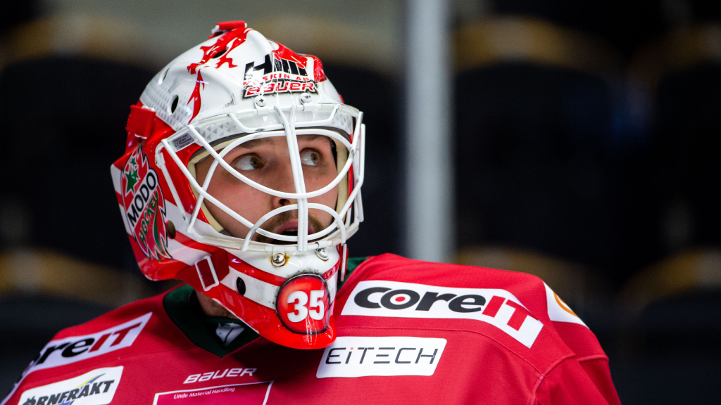 Uppgifter: Patrik Bartosak i bl&aring;sv&auml;der