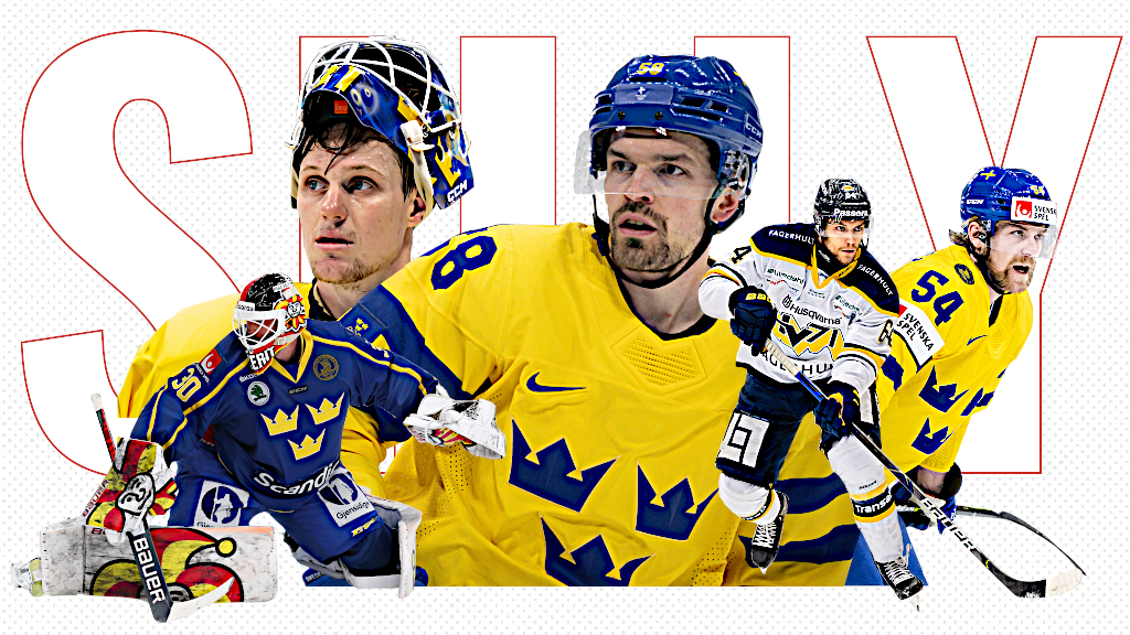 Sammanst&auml;llning: S&aring; har SHL-klubbarna v&auml;rvat