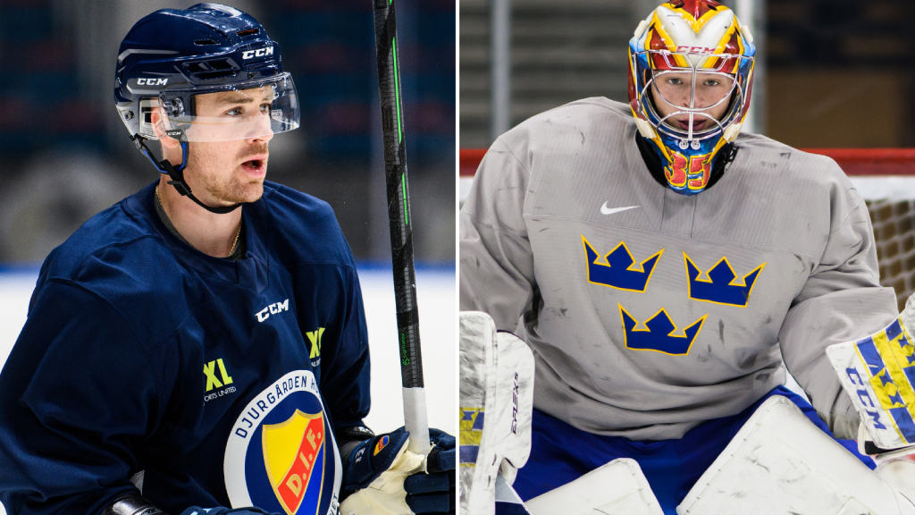 Carl Lindbom nollade MoDo &ndash; seger f&ouml;r Djurg&aring;rden