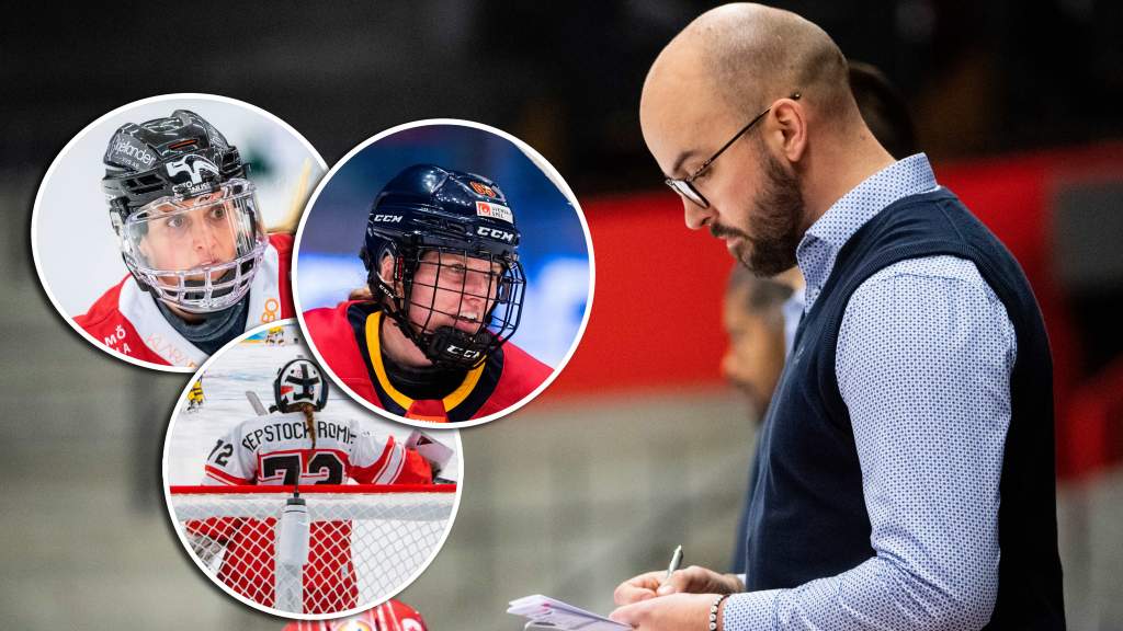 Danska VM-truppen uttagen &ndash;&nbsp;tio spelare med svenska klubbar