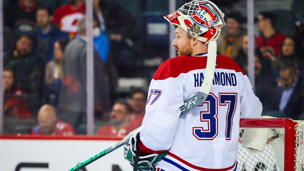 Andrew Hammond l&auml;mnar NHL &ndash; f&ouml;r KHL