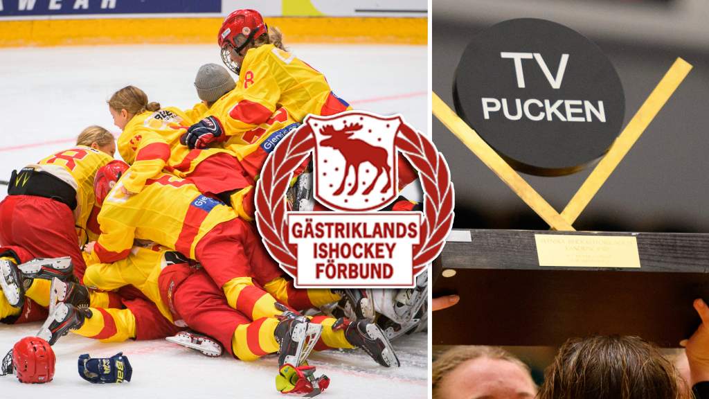 G&auml;strikland &ndash; TV-pucken 2022: Kommentarer om ALLA spelare