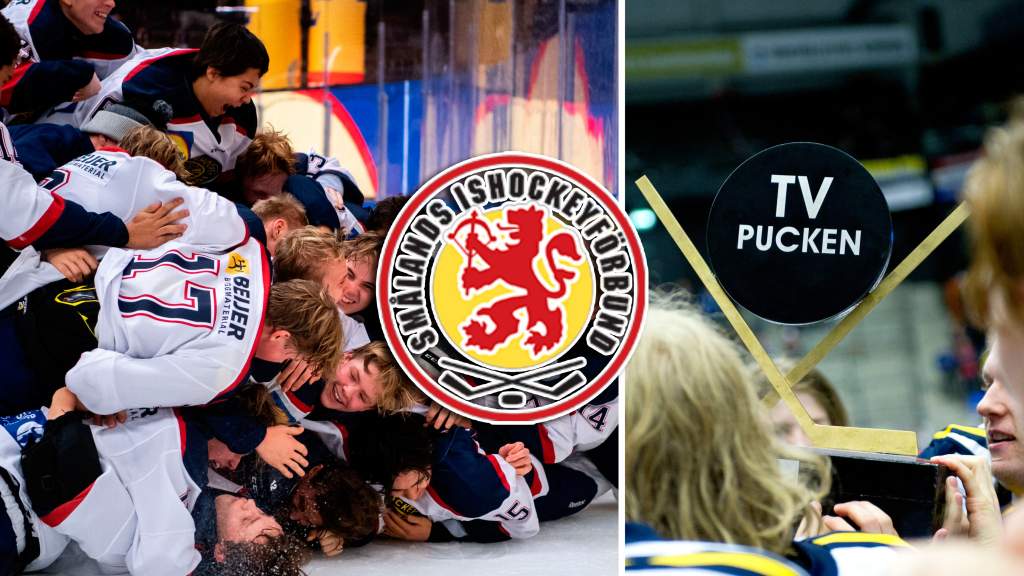 TV-pucken 2022: Sm&aring;land &ndash; kommentarer om ALLA spelare