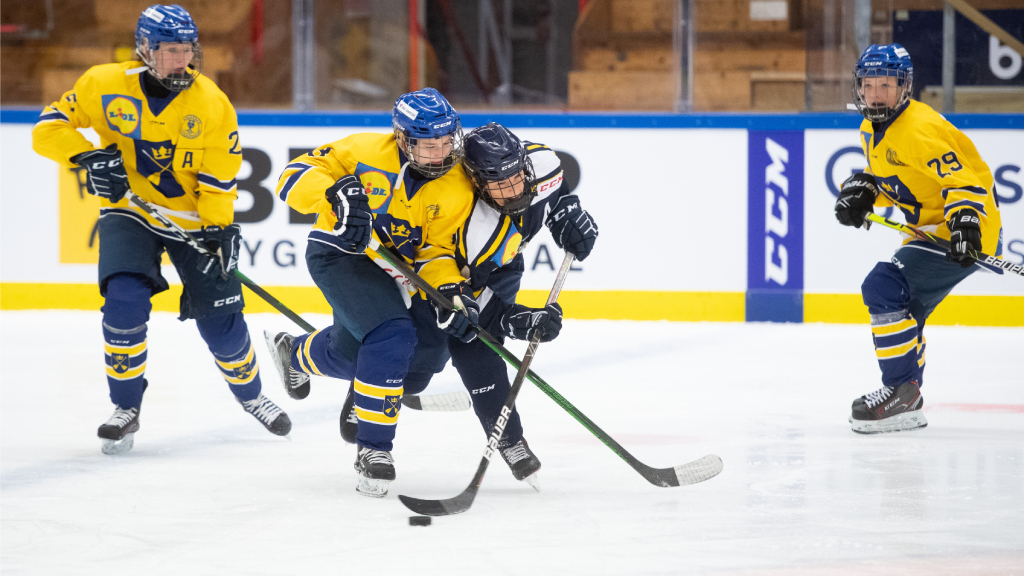 S&aring; gick det i TV-puckens kvalspel &ndash; de g&aring;r till slutspel
