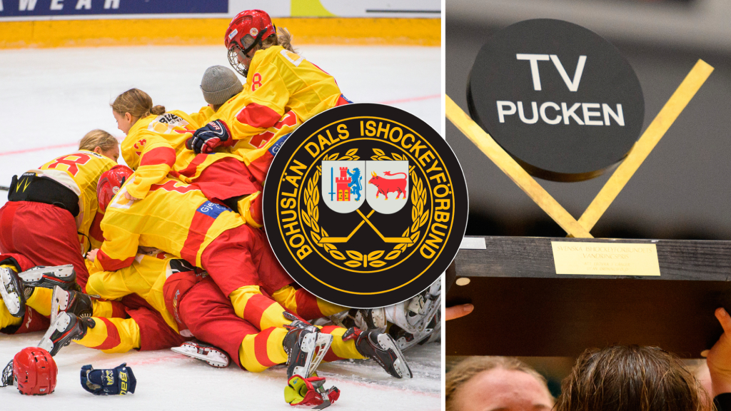 Bohusl&auml;n/Dal &ndash; TV-pucken 2022: Kommentarer om ALLA spelare