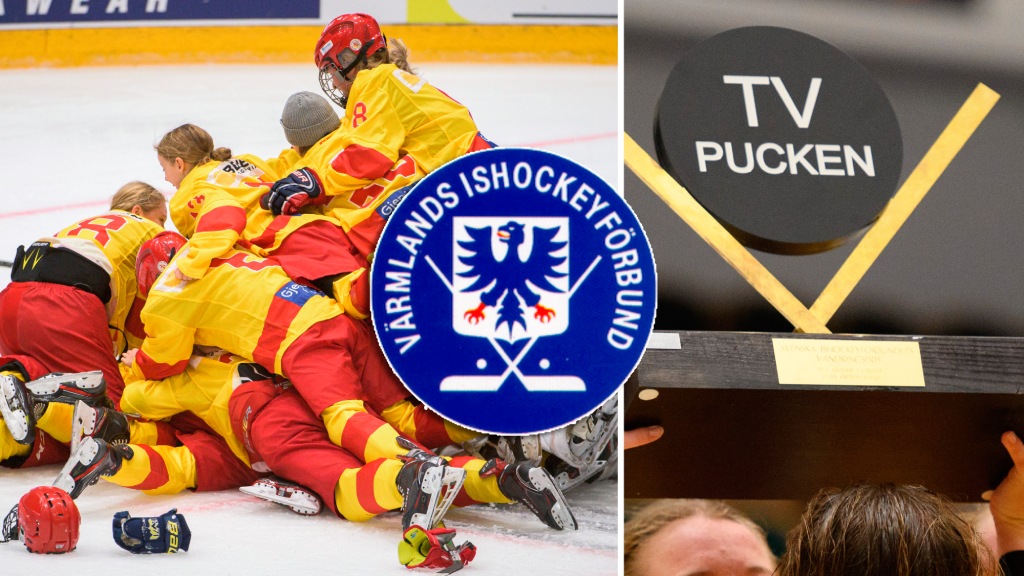 V&auml;rmland &ndash; TV-pucken 2022: Kommentarer om ALLA spelare