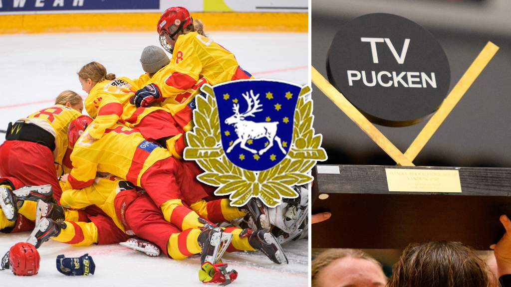 V&auml;sterbotten &ndash; TV-pucken 2022: Kommentarer om ALLA spelare