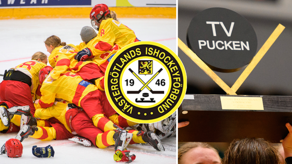 V&auml;sterg&ouml;tland &ndash; TV-pucken 2022: Kommentarer om ALLA spelare