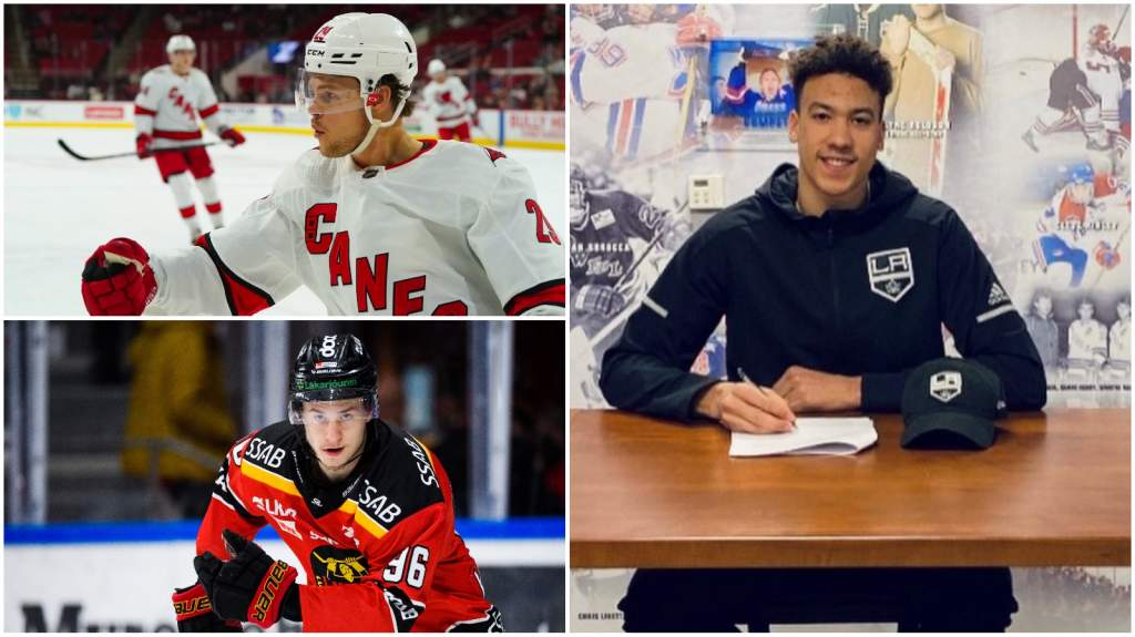 H&auml;r &auml;r alla svenskar i NHL 2022