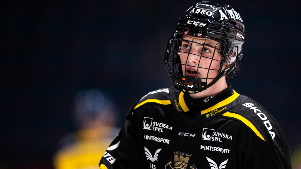 Almtuna segrade p&aring; Hovet &ndash; trots Dalibor Dvorskys dubbel