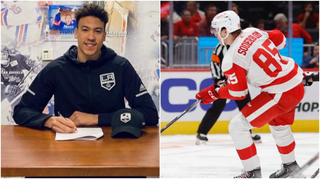 H&auml;r &auml;r alla svenskar i NHL 2022