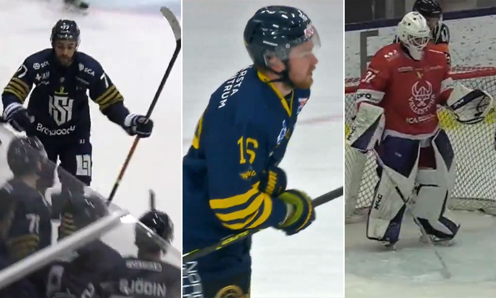 &Ouml;verraskningarna som tagit Hockeyettan med storm
