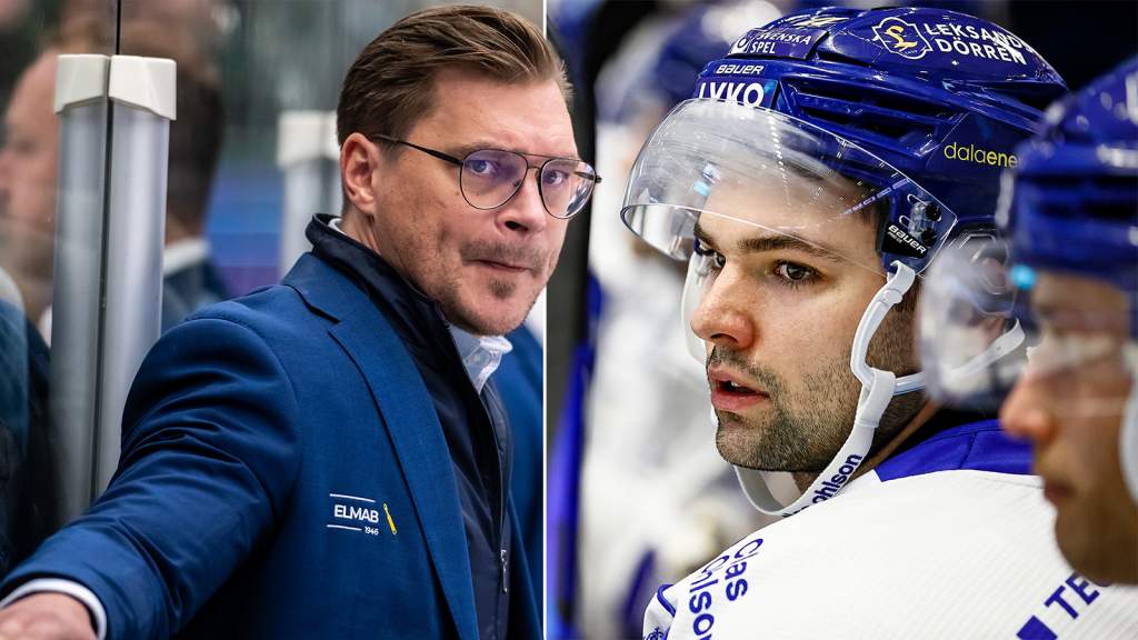 Hellkvists f&ouml;rtydligar petningen: "Finns brister"