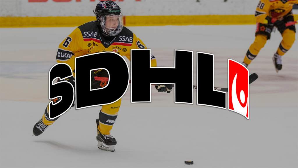 "B&auml;sta importspelaren SDHL f&aring;tt in p&aring; m&aring;nga, m&aring;nga &aring;r"