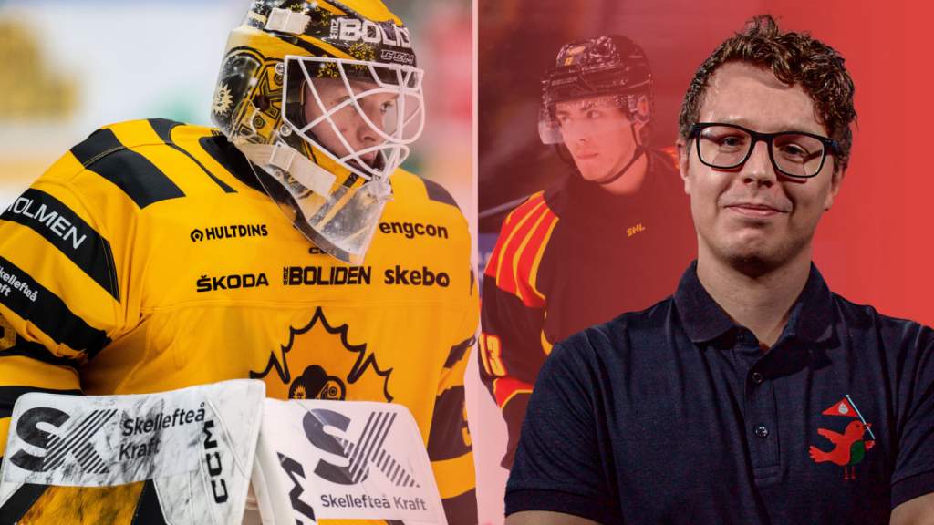 De har varit SHL-s&auml;songens tio st&ouml;rsta &ouml;verraskningar