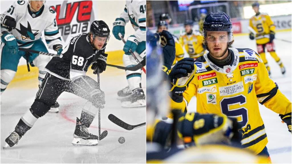 Samuel Fagemo g&ouml;r sin f&ouml;rsta NHL-po&auml;ng