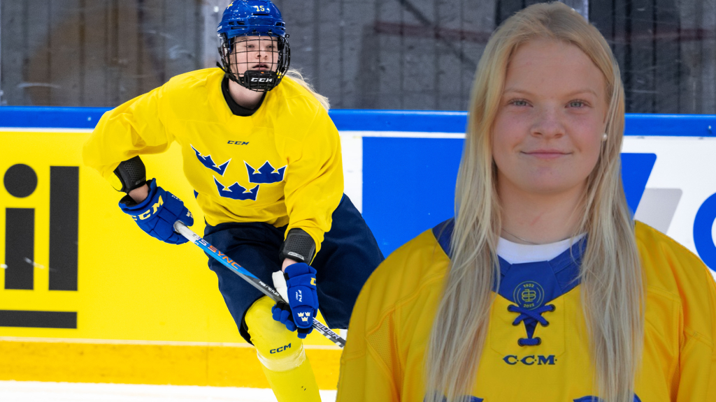 Optimism i Sverige inf&ouml;r rivalm&ouml;tet: "Jag tror verkligen att vi har dom"