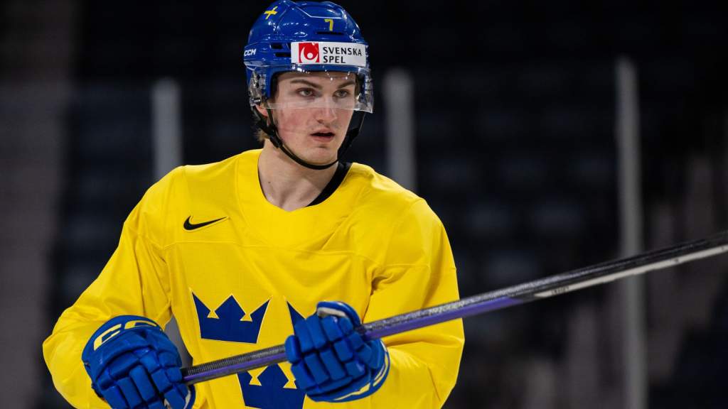 F&auml;rjestad l&aring;nar in Calle Odelius fr&aring;n Djurg&aring;rden