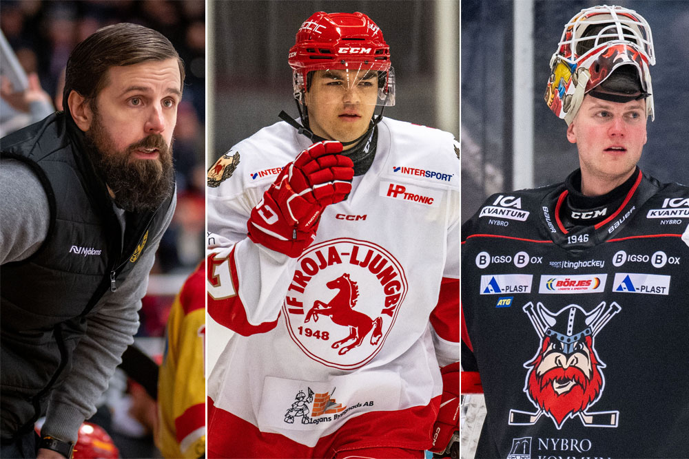Släkten är värst - kopplingarna mellan kvalserielagen