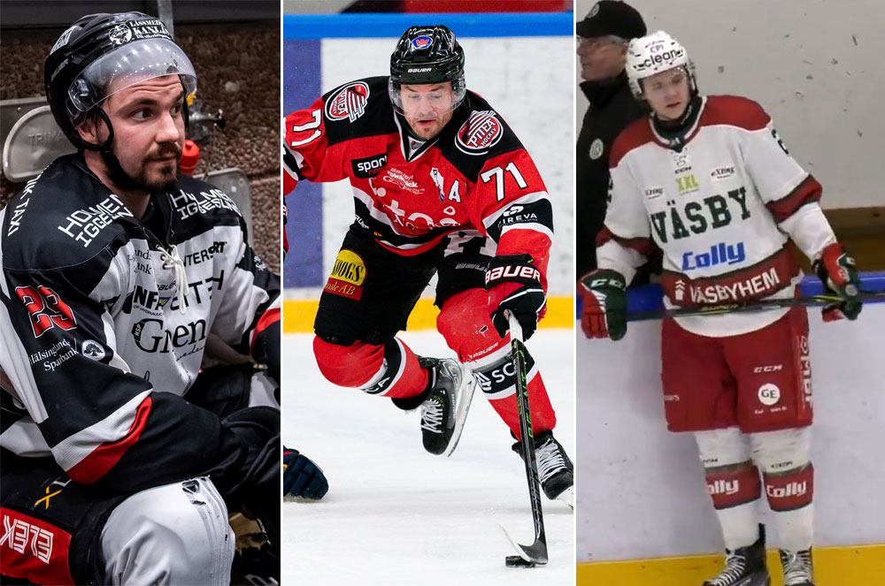 De bommade Hockeyallsvenskan – men kan få chansen ändå