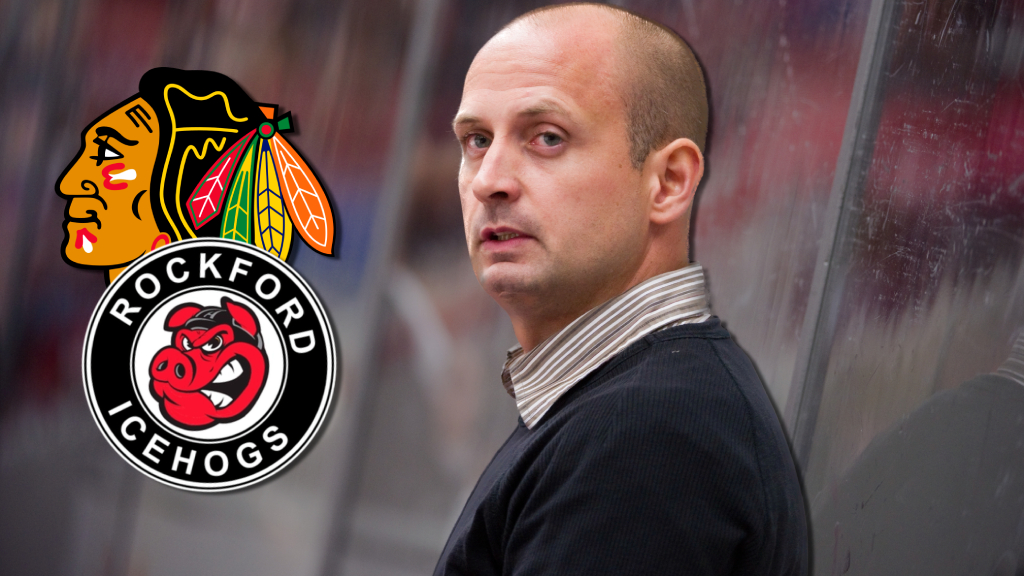 Anders Sörensen – ett steg från NHL: "Vill inte vara i NHL bara för att"