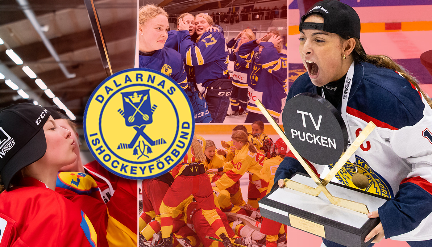 Dalarna – TV-pucken 2023: Kommentarer om ALLA spelare