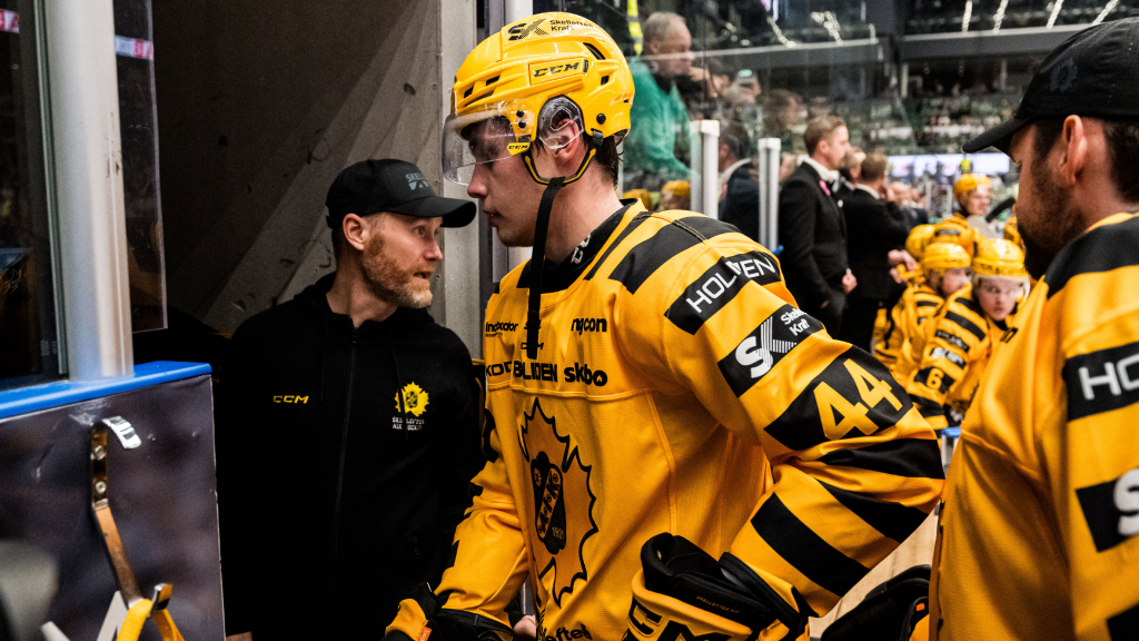 Elias Salomonsson stängs av två matcher efter crosscheckingen
