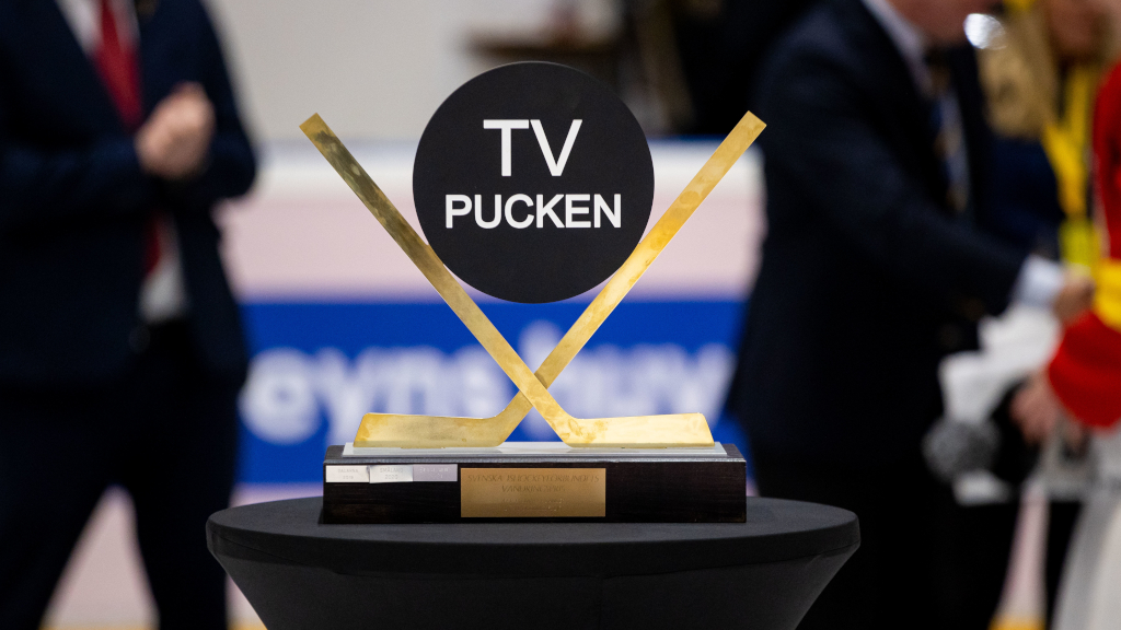 Så går det i TV-puckens kvartsfinaler