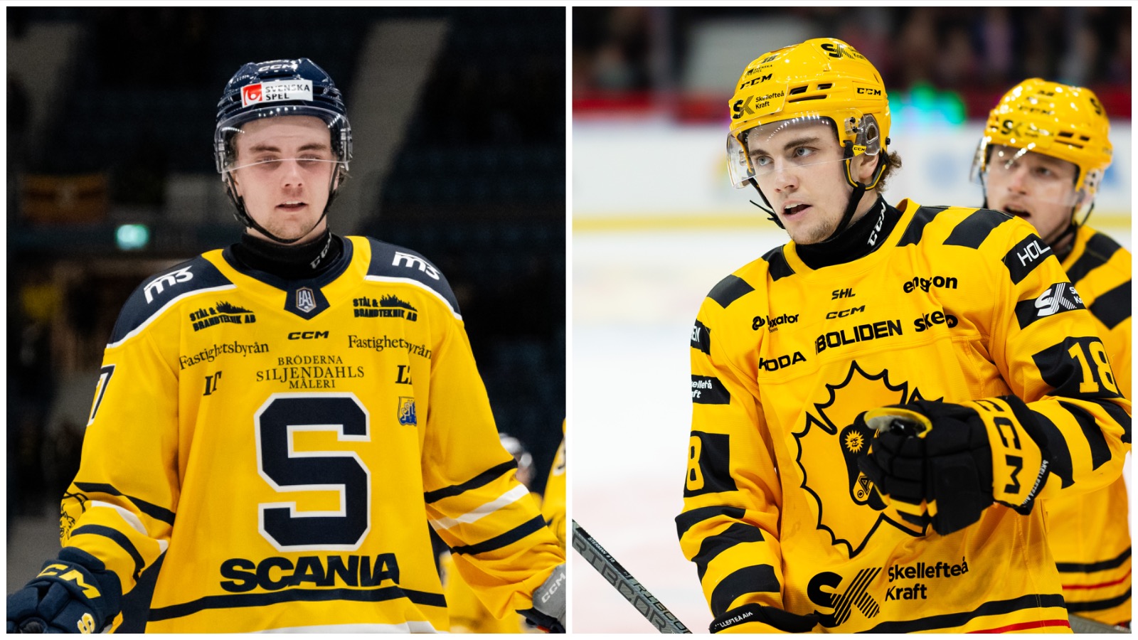 Elias Stenman återvänder till Skellefteå