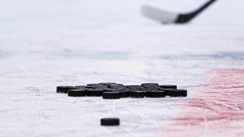 Hockeyprofilen åtalad för ringa narkotikabrott och rattfylleri